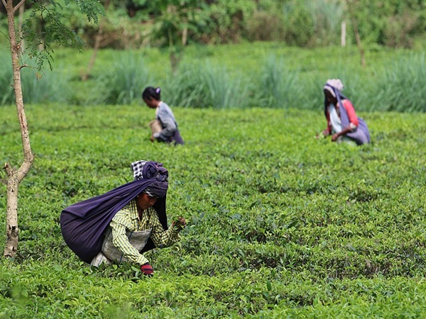 വ്യത്യസ്ത സംസ്കാരവും ജനതകളും