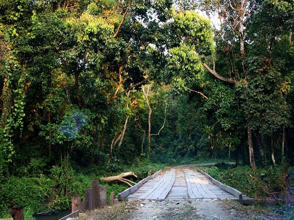 ദേശീയോദ്യാനങ്ങളിലൂടെയുള്ള സഫാരി