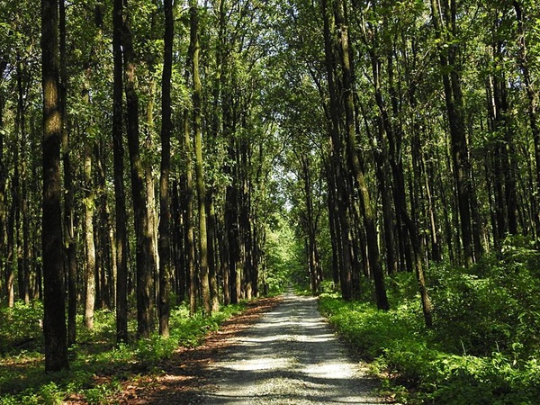 എത്തിച്ചേരുവാന്