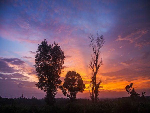 നാഗര്ഹോളെ ദേശീയോദ്യാനം