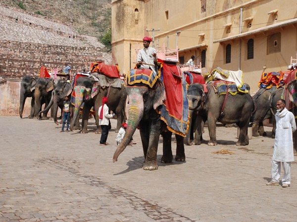 Rajasthan Rajasthan
