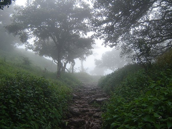 കൊടചാദ്രി