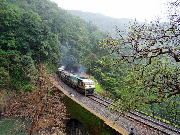 ഇവ ഉള്പ്പെടുന്നില്ല