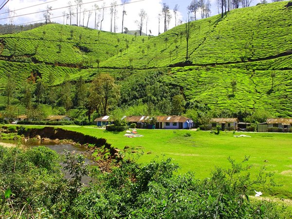 മൂന്നാര്-പൊള്ളാച്ചി