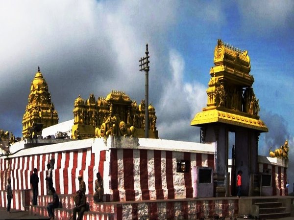 ബിലിഗിരി രംഗസ്വാമി ക്ഷേത്രം