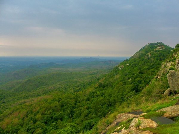 സോളിഗ ഗോത്രം