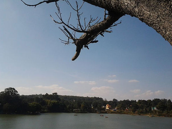 യേലാഗിരി