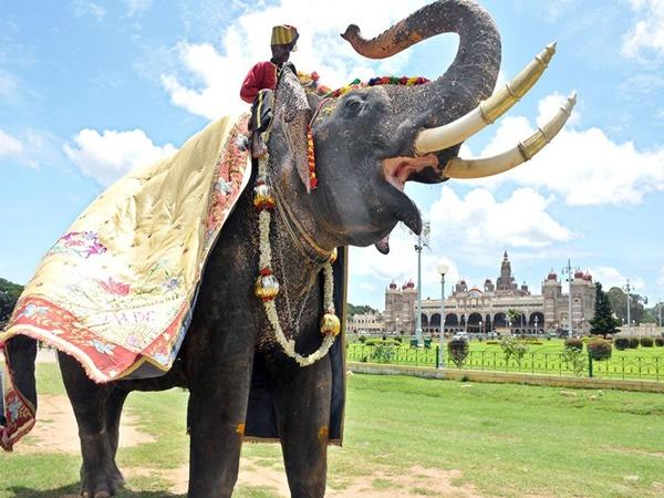 Mysore Dasara 2021 Mysore Dasara 2021