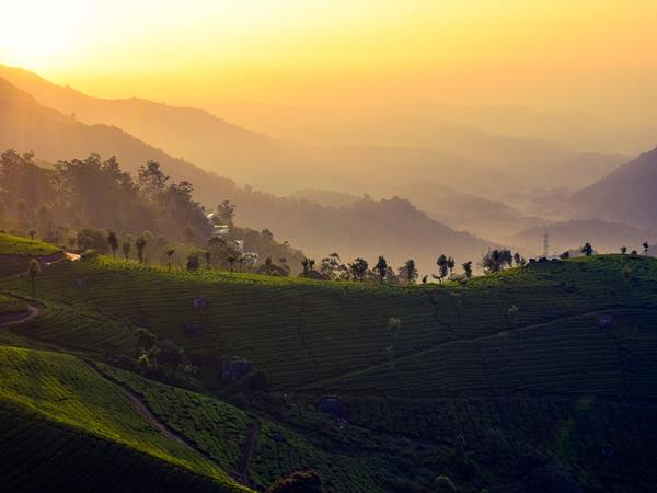 ചിലവില്ല!