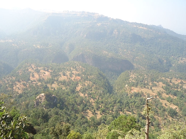 ഗോത്രസംസ്കാരവും ഔഷധങ്ങളും