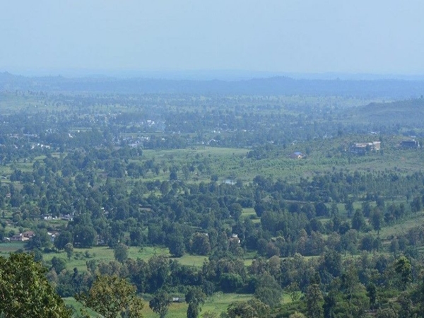 കൊവിഡും പാതാള്കോട്ടും