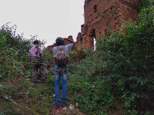 ചേലിയാമ