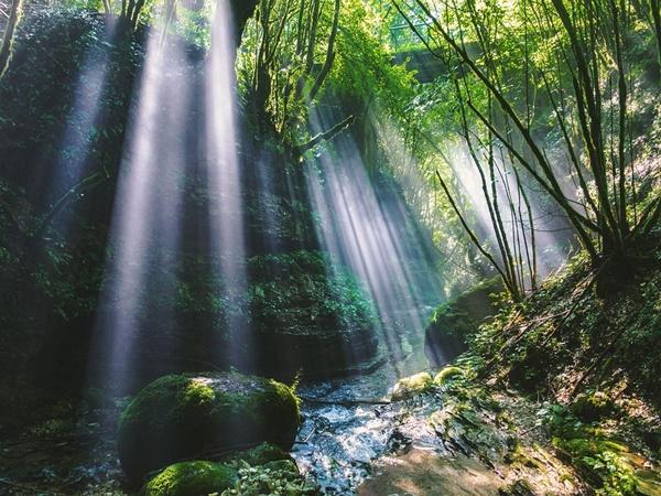 Agasthyarkoodam Trekking 2022 Agasthyarkoodam Trekking 2022