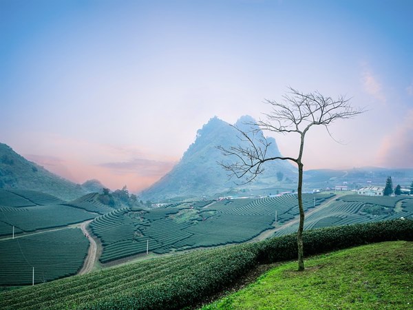 കോട്ടയത്തു നിന്നും