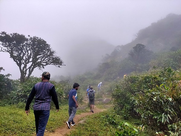 ട്രക്കിങ് ഫീസ്