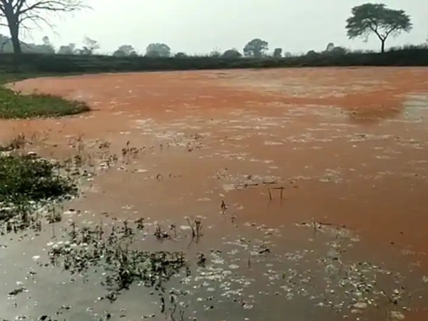 color-changing pond color-changing pond