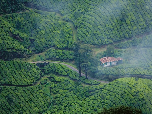 മൂന്നാര്