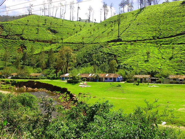 ടിക്കറ്റ് നിരക്ക്