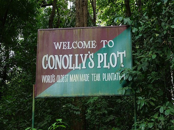 ഒരു പകലില് കാണാം