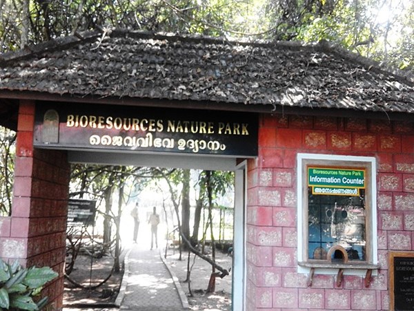 ചിലവിങ്ങനെ