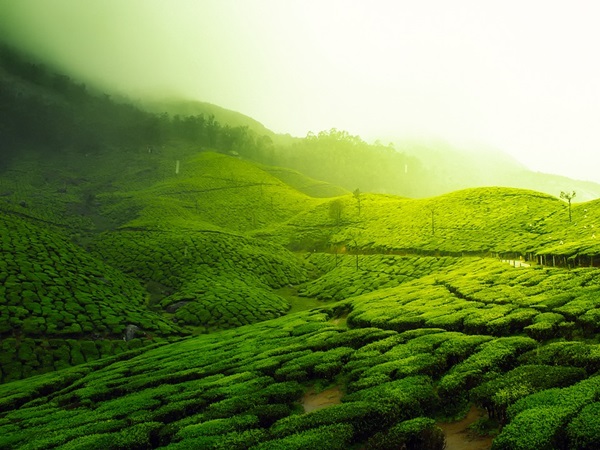 ഇന്ത്യ