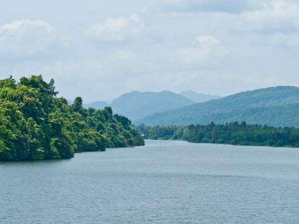 തട്ടേക്കാട് പക്ഷിസങ്കേതം