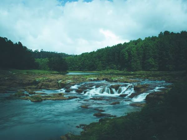 ഭക്ഷണം