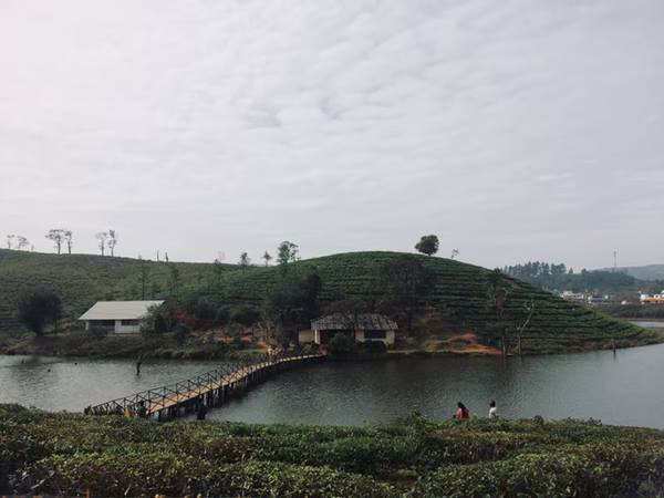 വാഗമണ് തടാകം