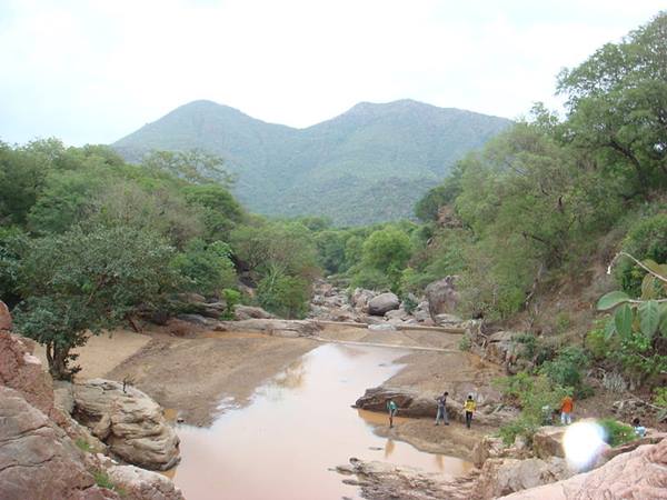 അമൃതി സുവോളജിക്കൽ പാർക്ക്