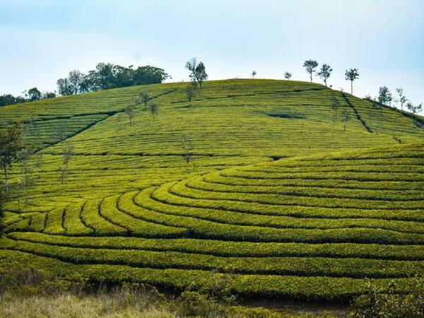 ബുക്ക് ചെയ്യുവാന്