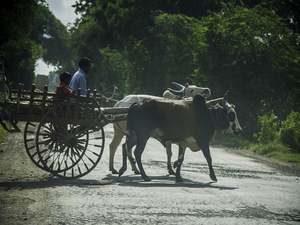 വിശ്വാസങ്ങള് ഇങ്ങനെ