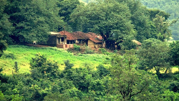 അരാകു വാലി, ആന്ധ്രാ പ്രദേശ്