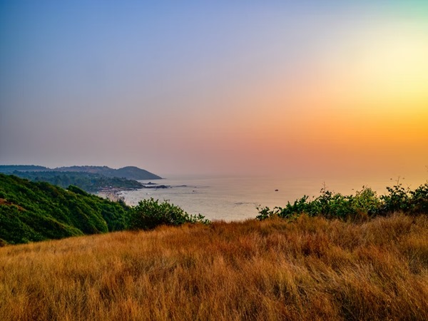 ഗോവ