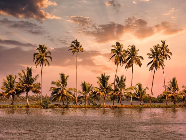 ടിക്കറ്റ് നിരക്ക്