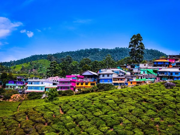 കണ്ണൂര്-മൂന്നാര് പാക്കേജ്