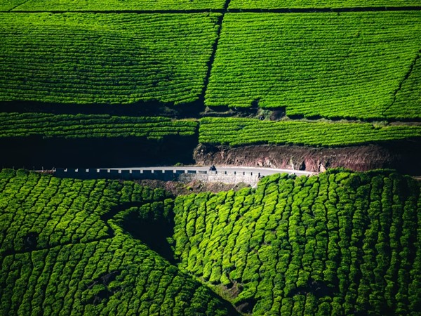 മൂന്നാര് കാഴ്ചകള്