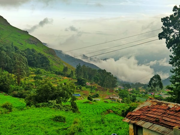 തിരിച്ച് വരാം