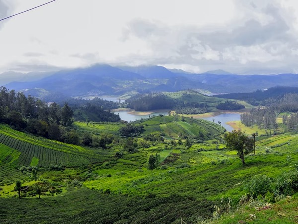 നാലോടെ!