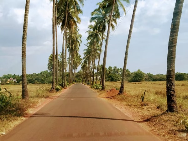 പാറാ റോഡ്(Parra Road)