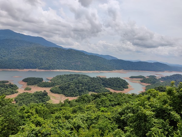 പച്ചത്തുരുത്തുകള്