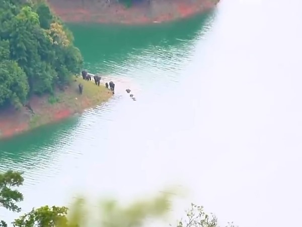 ശ്രദ്ധിക്കുവാന്