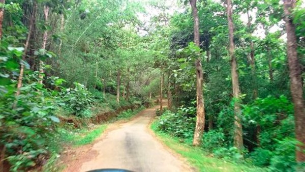 ഓഫ് റോഡ് യാത്രകളുടെ സൗന്ദര്യലഹരി