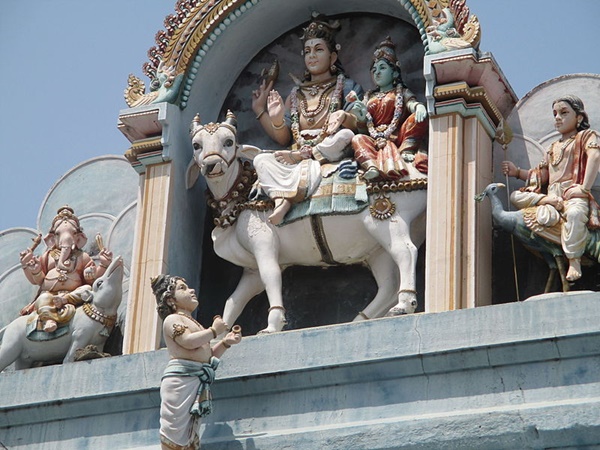 പൂജകളും ആഘോഷവും