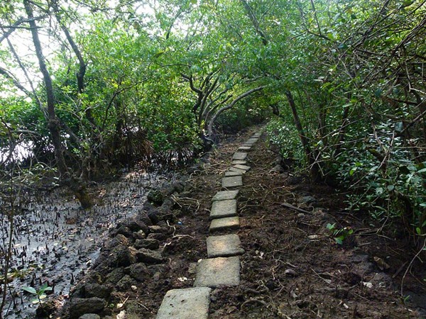 സാലിം അലി പക്ഷി സങ്കേതം