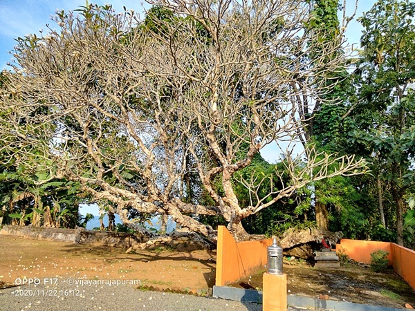 പ്രതിഷ്ഠ