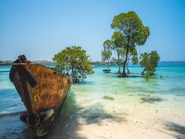 ആന്ഡമാനിലെ സ്കൂബാ ഡൈവിങ്