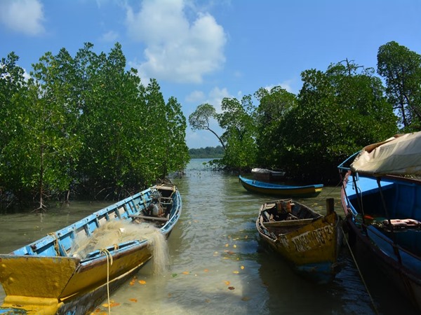 അഞ്ചാം ദിവസം