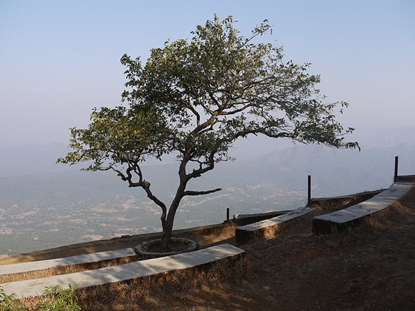 മാധവ്ഗഡ് കോട്ട