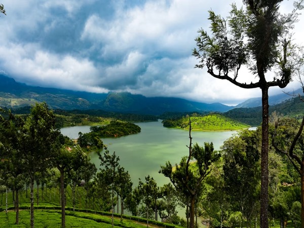 മൂന്നാര്