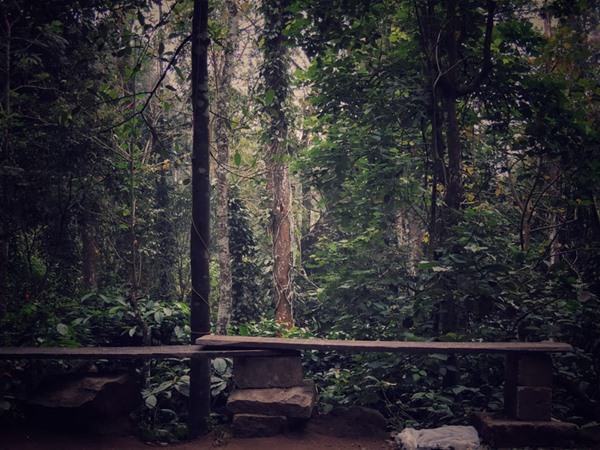വയനാട്